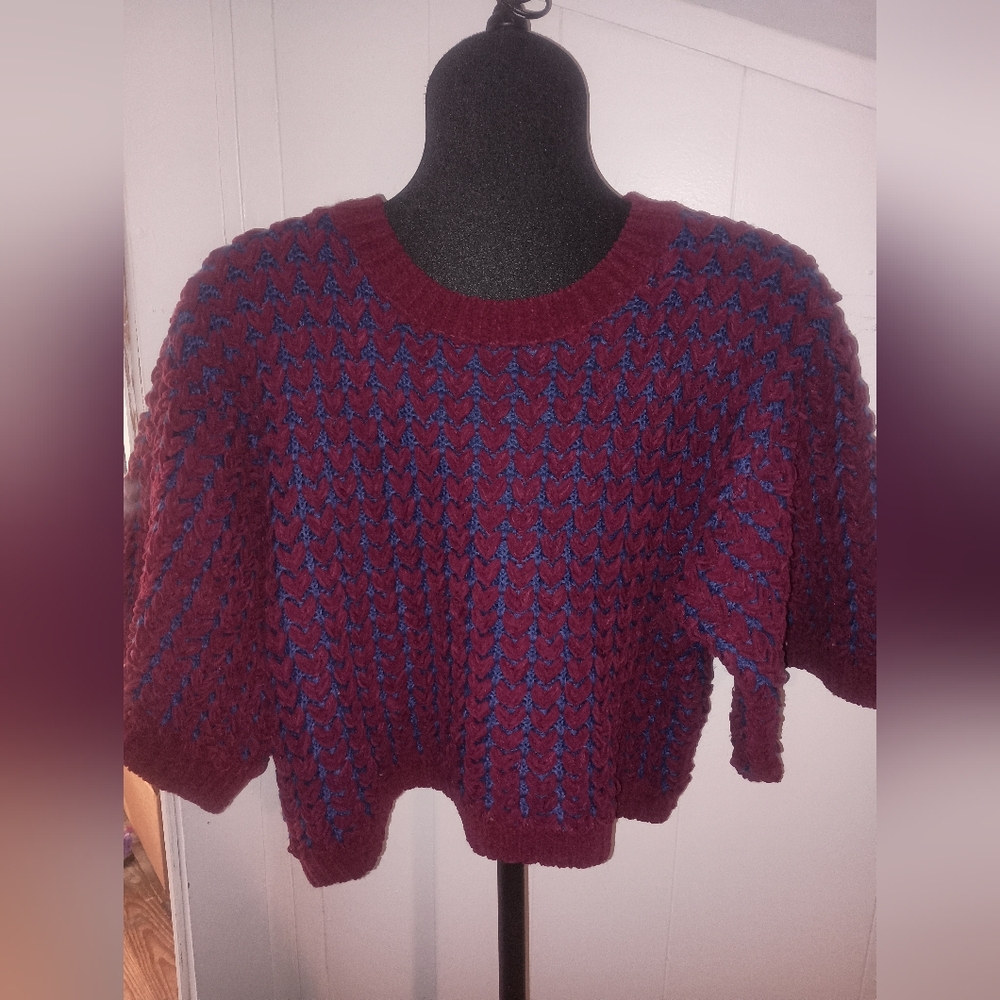 Buckle Burgundy and Blue Knit Sweater